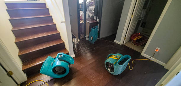 Best Ceiling water damage repair  in Osage Beach, MO