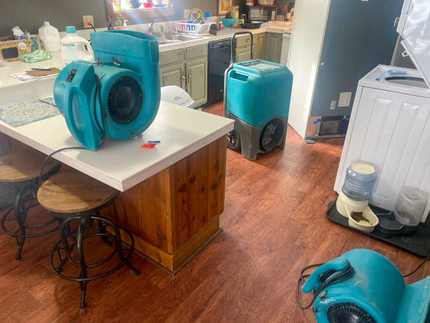 Best Mold removal after water damage  in Osage Beach, MO