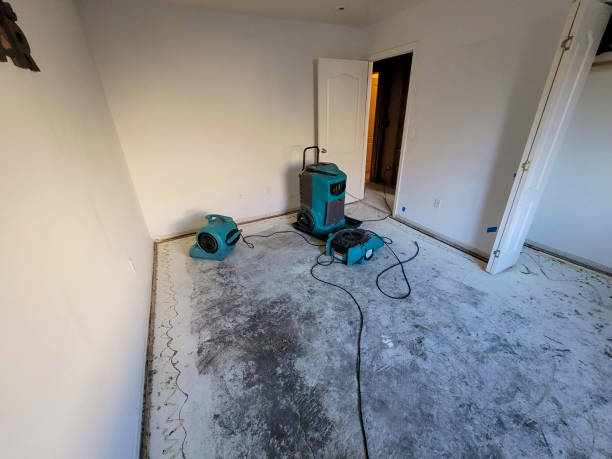Best Water damage contractors near me  in Osage Beach, MO