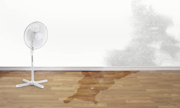 Best Water damage restoration near me  in Osage Beach, MO