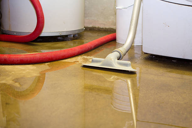 Best Water damage mitigation services  in Osage Beach, MO