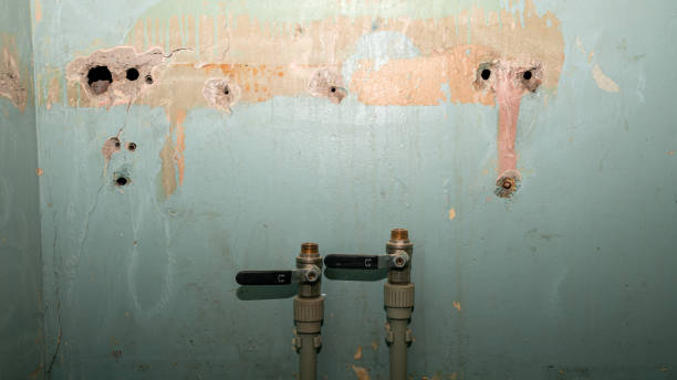 Best Fire Damage Restoration  in Osage Beach, MO