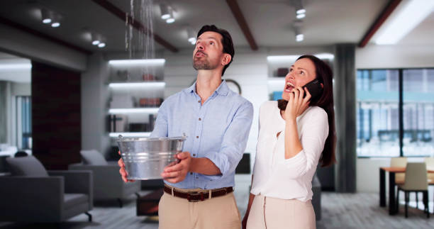 Best Professional water damage repair  in Osage Beach, MO